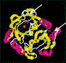 dhbd.gif (3919 bytes)